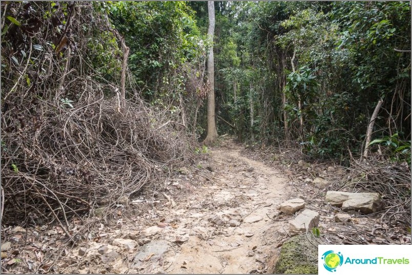 Esta é uma estrada ainda mais ou menos normal.