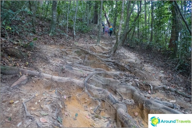 Trekking a Kub Kaek-en Krabiban - jobb, mint a hegyek, csak hegyek lehetnek