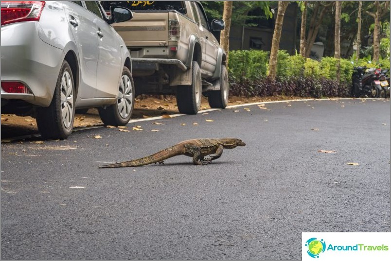 You will park - be careful on the road, so that your feet will not be trampled