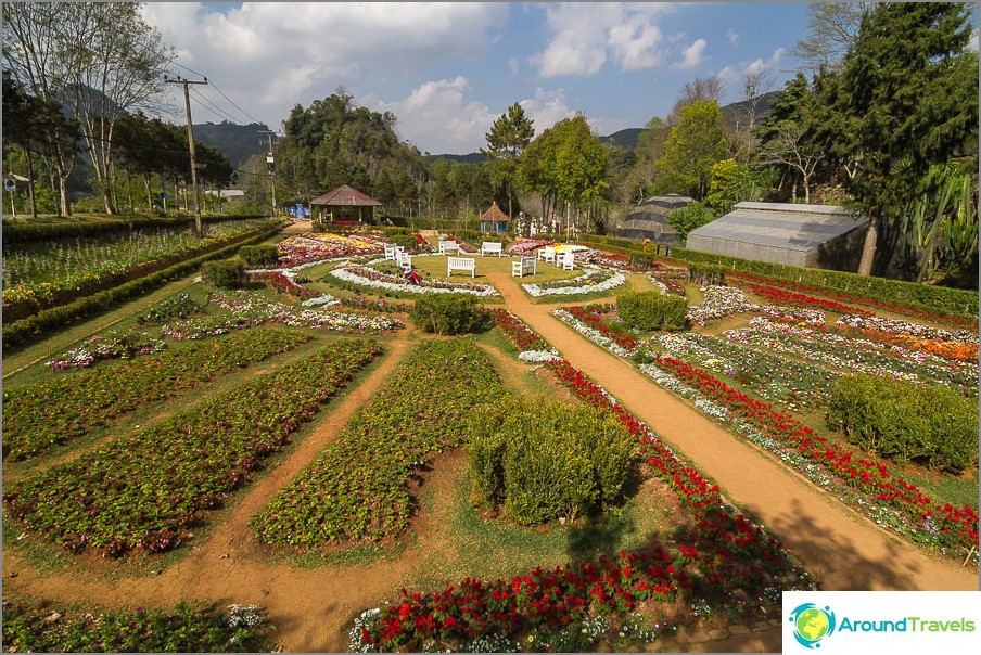 Flowerbed complex at the beginning of the path