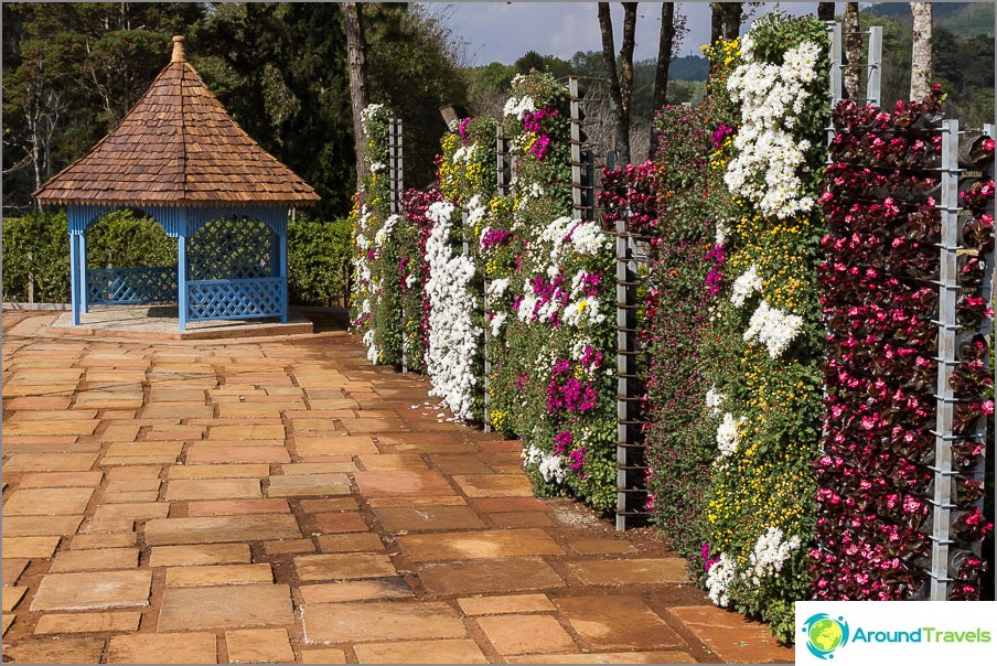 Vertical flower beds