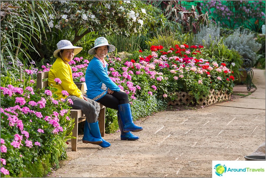 Parkmedewerkers in het bloemenpaviljoen