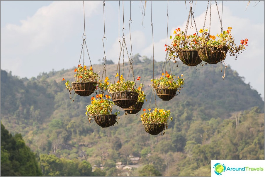 Suspended flower beds