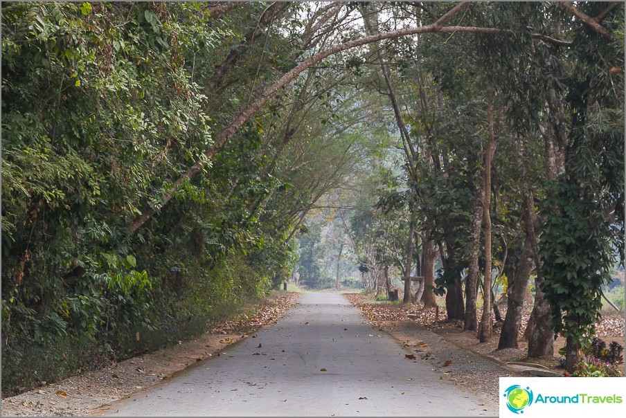 A beautiful alley leads to the temple