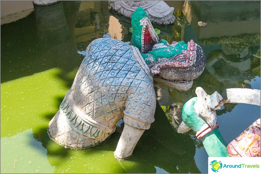 Dans le liquide vert, quelqu'un met sa tête dans les mâchoires d'un crocodile