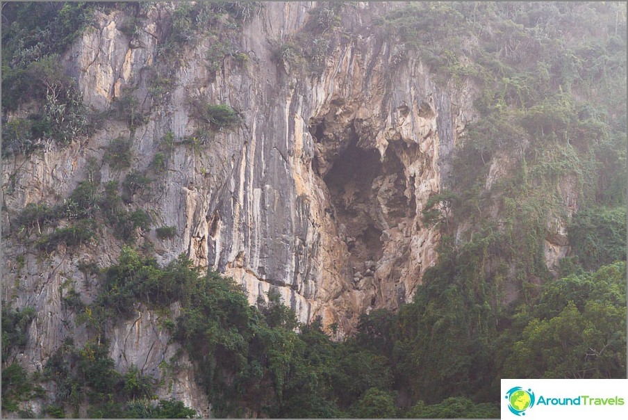 Possibly fly out of a similar cave