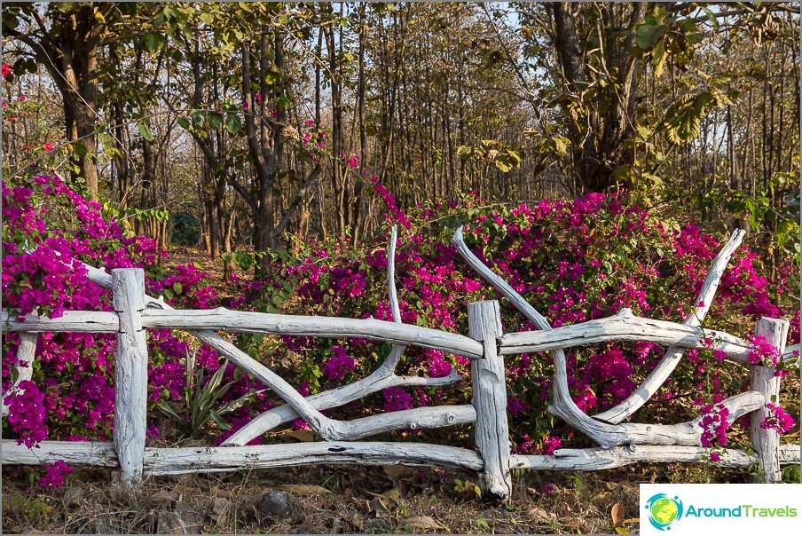 There is such a beautiful fence on the track