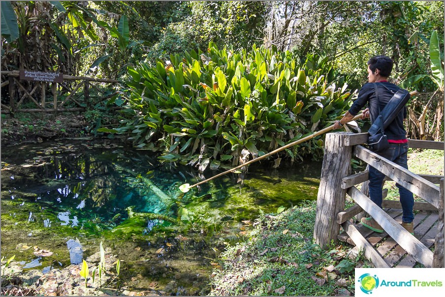 Cucharada de agua