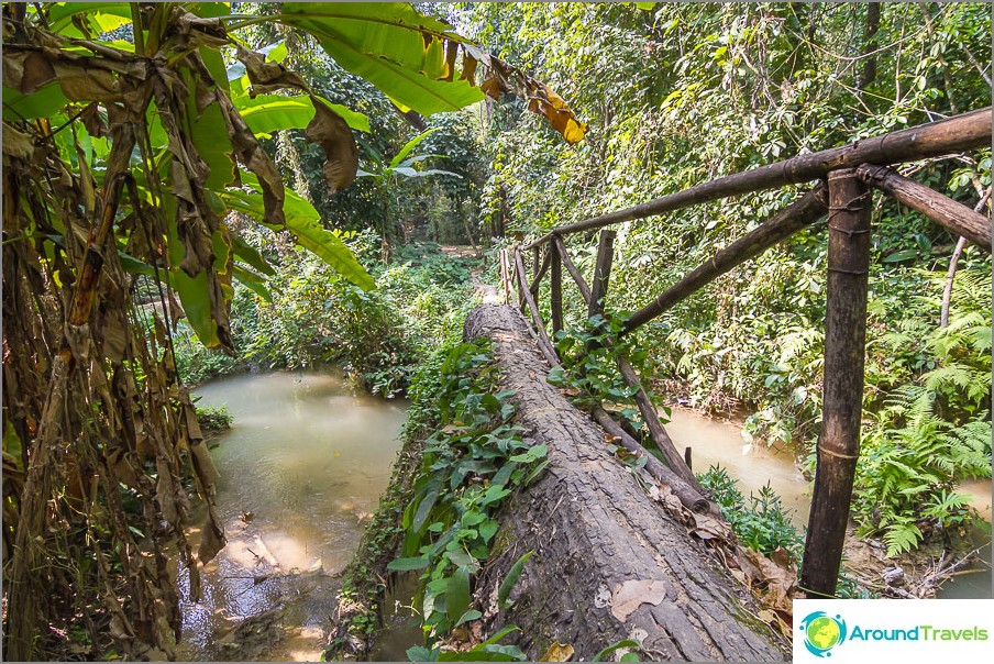 Most gdzieś w dżungli