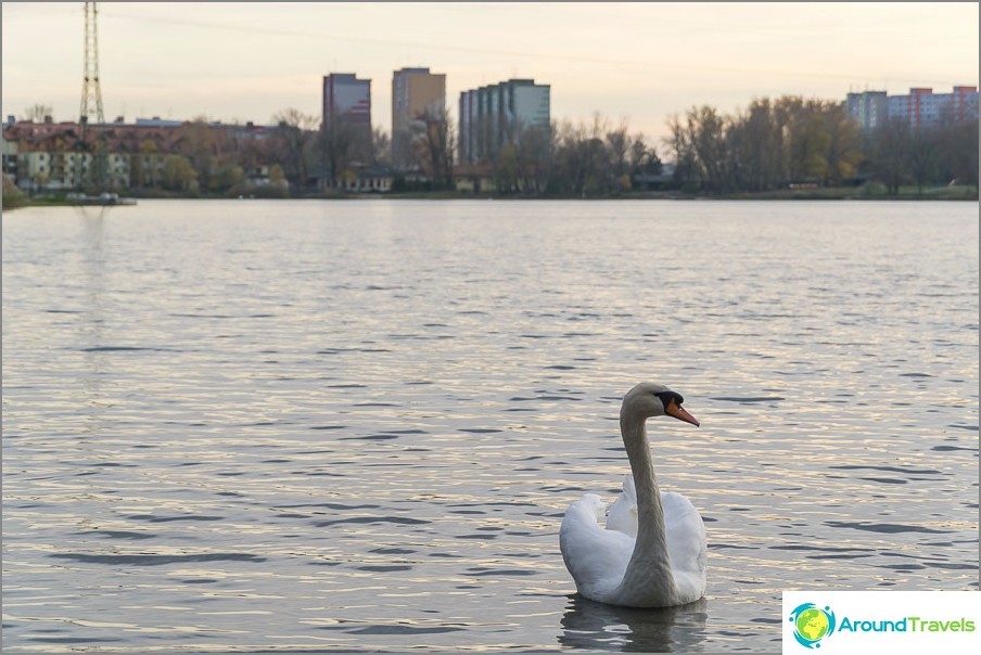 City park in Petrzalka