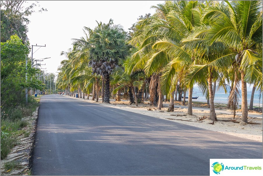 Sahilin sivil kısmı değil, sadece yol, palmiye ağaçları ve neredeyse hiç kimse