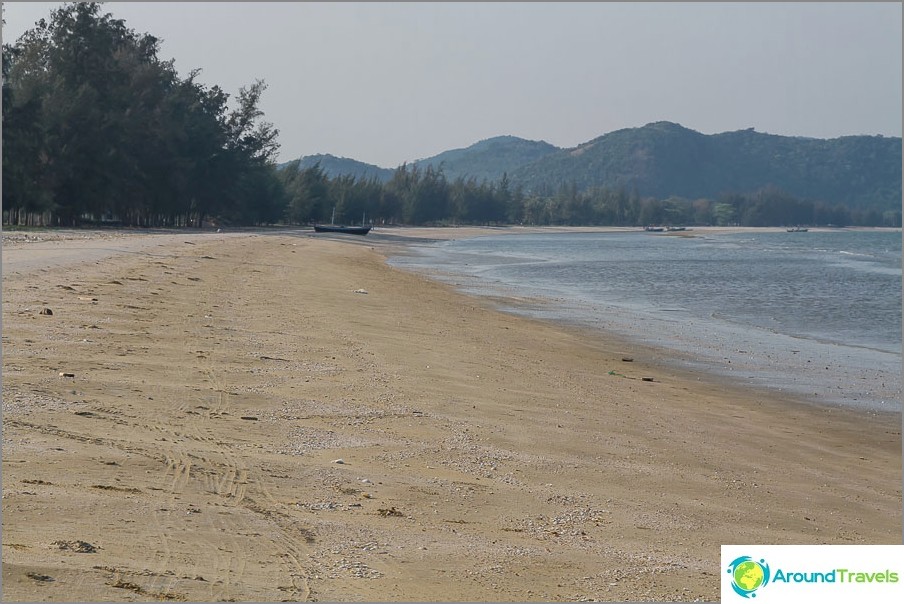 Dolphin Bay Plajı çam ağaçları ve palmiye ağaçları ile çevrilidir.