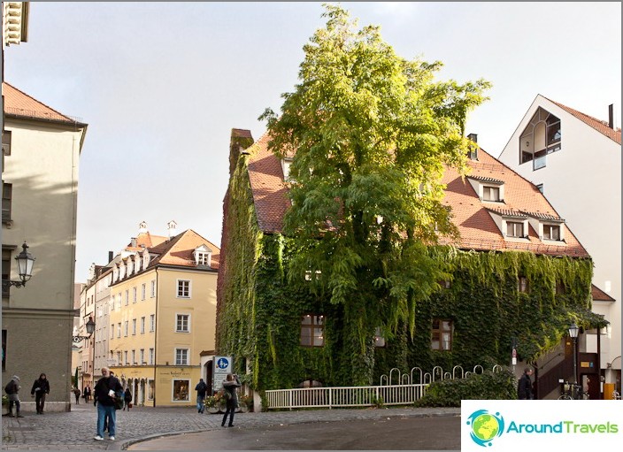 En grønn oase i sentrum av München