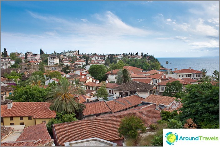 Die Altstadt von Antalya. Truthahn.