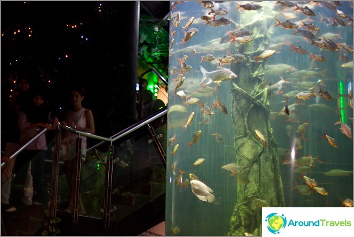 Eingang in die untere Etage des Kuala Lumpur Oceanarium