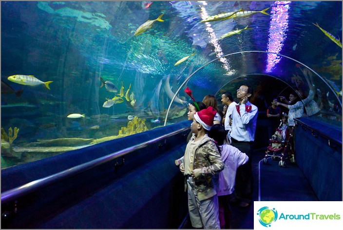 Tunel v Kuala Lumpur Oceanarium