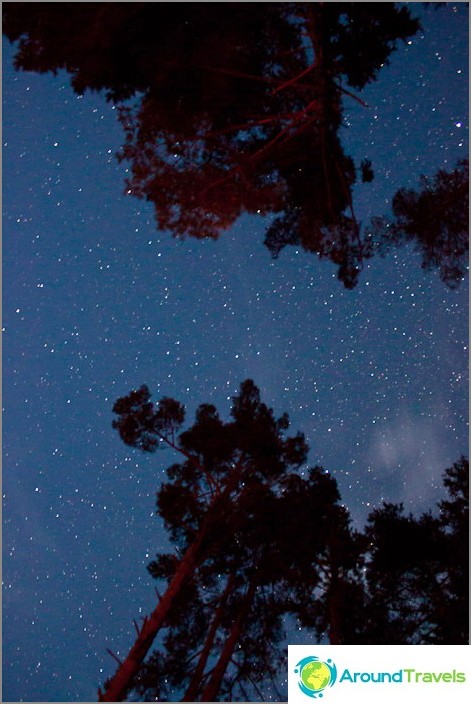 Cielo estrellado en agosto.