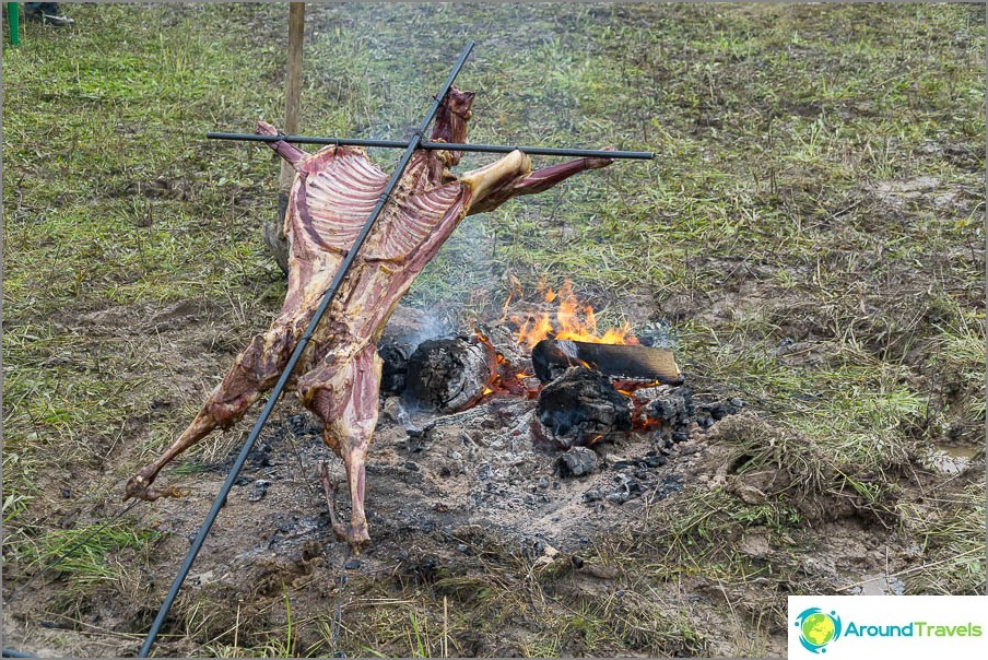 Jotkut metsästäjät, eivät turistit